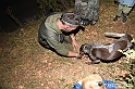 VBS_6491 - Inaugurazione Stagione 2022-23 Simulazione Ricerca Tartufo